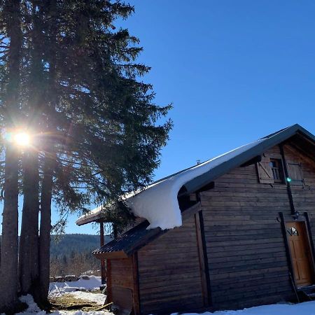Chalet Du Bois Joli Saint-Laurent-en-Grandvaux Kültér fotó