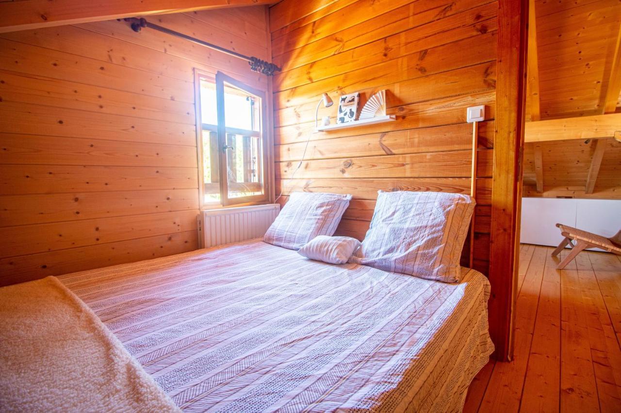 Chalet Du Bois Joli Saint-Laurent-en-Grandvaux Kültér fotó