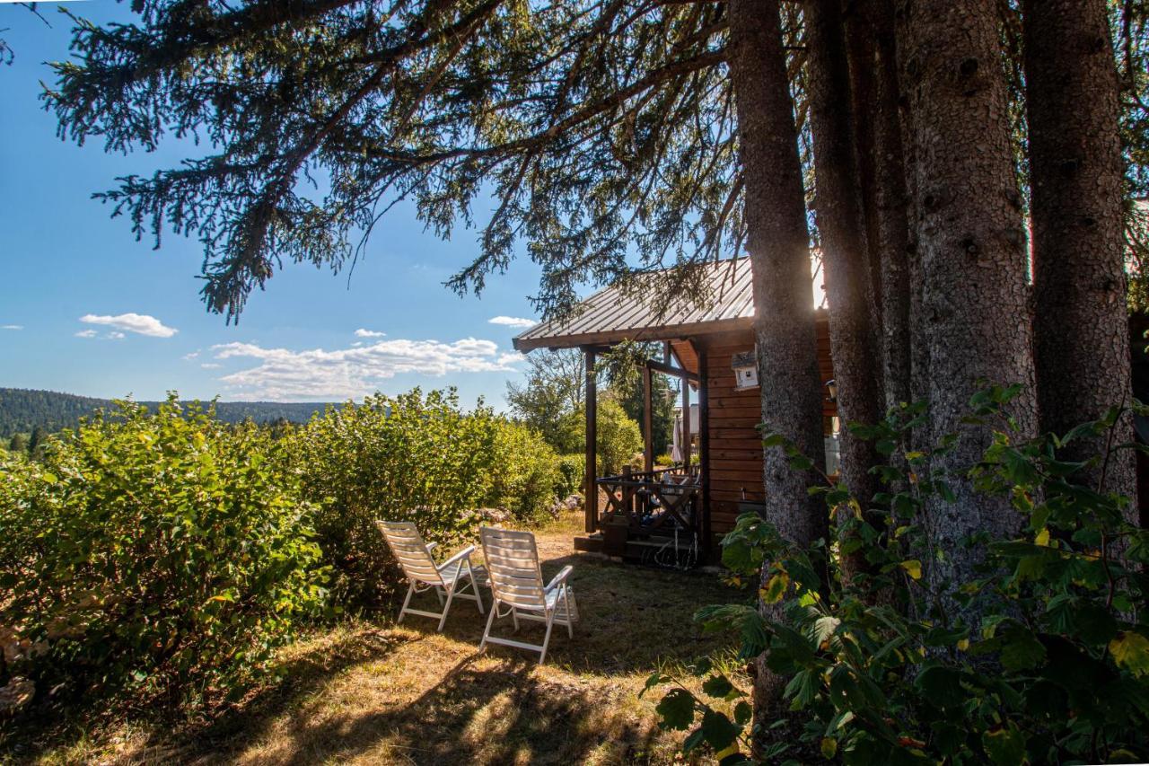 Chalet Du Bois Joli Saint-Laurent-en-Grandvaux Kültér fotó