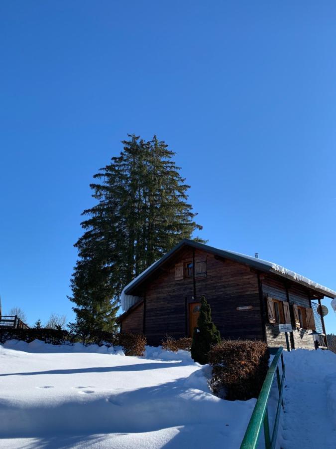 Chalet Du Bois Joli Saint-Laurent-en-Grandvaux Kültér fotó