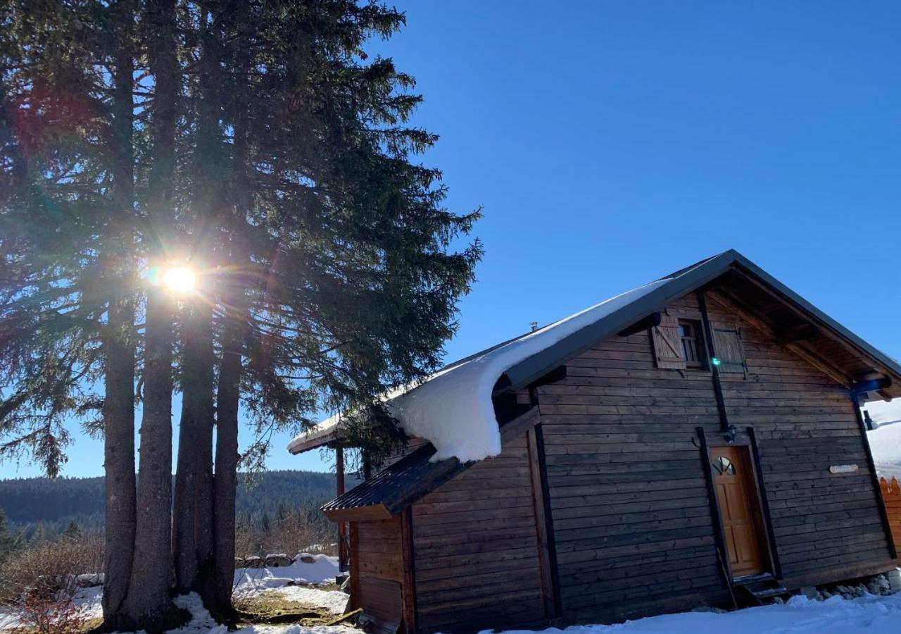 Chalet Du Bois Joli Saint-Laurent-en-Grandvaux Kültér fotó
