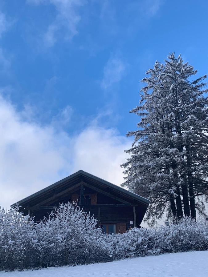 Chalet Du Bois Joli Saint-Laurent-en-Grandvaux Kültér fotó