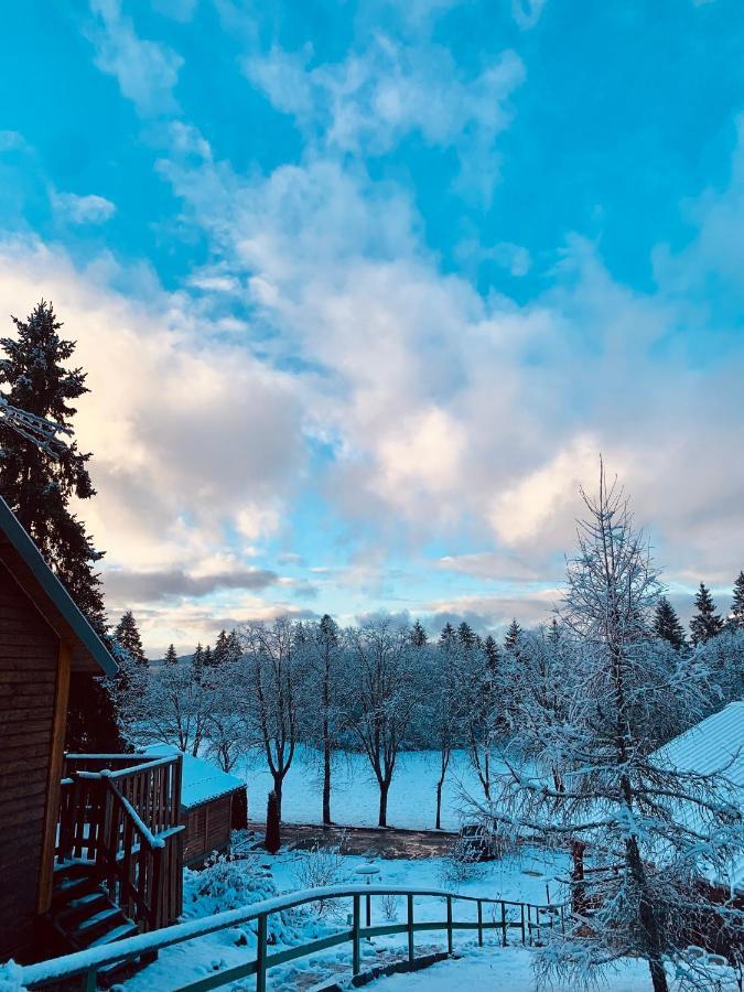 Chalet Du Bois Joli Saint-Laurent-en-Grandvaux Kültér fotó